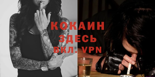 стаф Балахна
