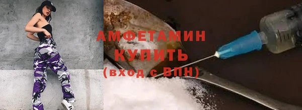 стаф Балахна