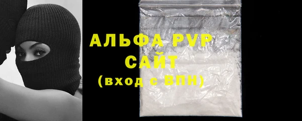стаф Балахна