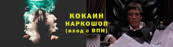 стаф Балахна