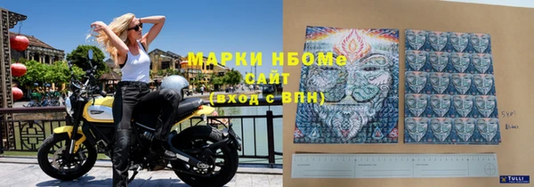 прущие грибы Белокуриха